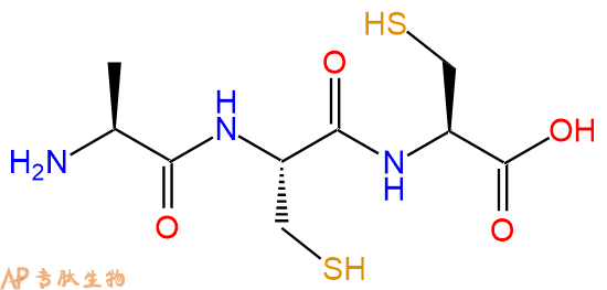 专肽生物产品三肽Ala-Cys-Cys