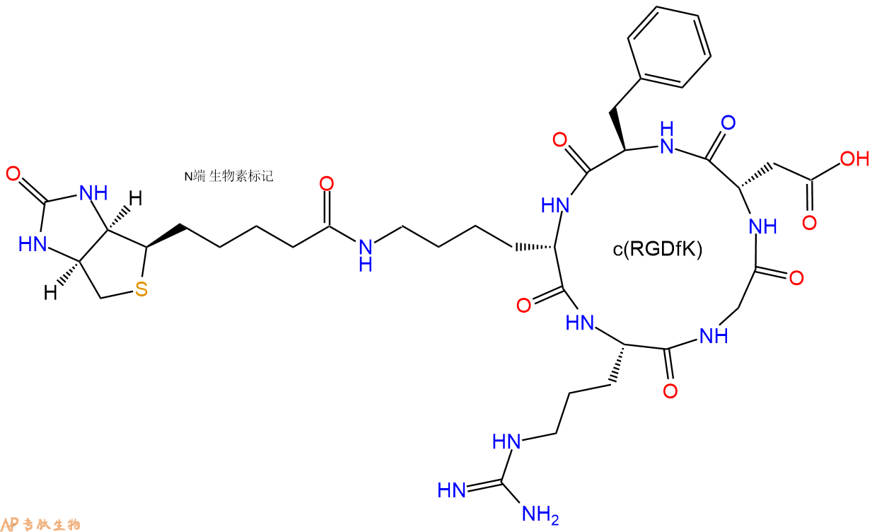 专肽生物产品c(RGD)环肽：c[RGDfK(Biotin)]|、环状多肽c(RGDfK)-生物素
