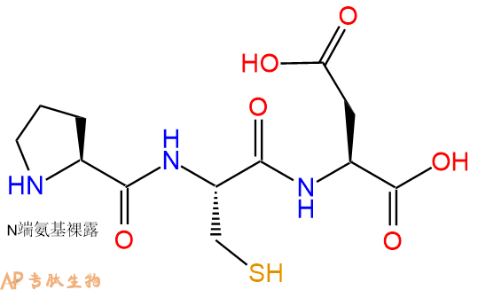 专肽生物产品三肽Pro-Cys-Asp