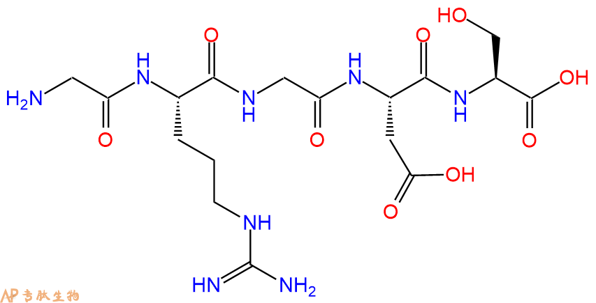 专肽生物产品M细胞靶向肽GRGDS96426-21-0/2828433-23-2