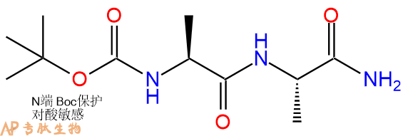 专肽生物产品二肽Boc-Ala-Ala-NH241036-24-2