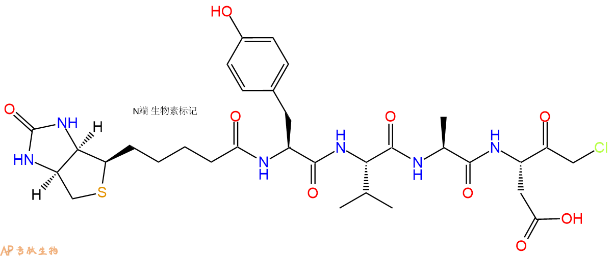 专肽生物产品Biotin - Caspase 1 Inhibitor II402474-75-3