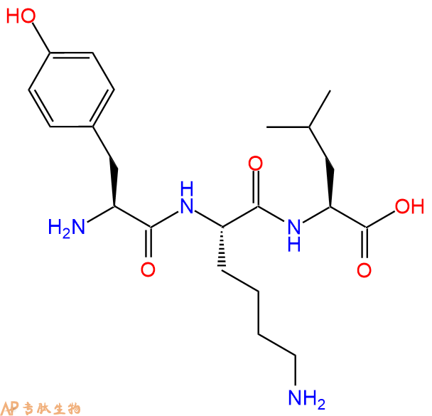 专肽生物产品三肽Tyr-Lys-Leu