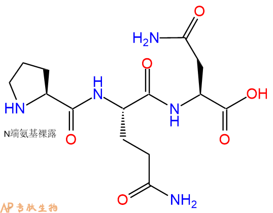 专肽生物产品三肽Pro-Gln-Asn