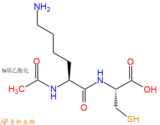 专肽生物产品二肽Ac-Lys-Cys