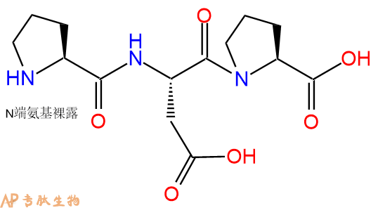 专肽生物产品三肽Pro-Asp-Pro
