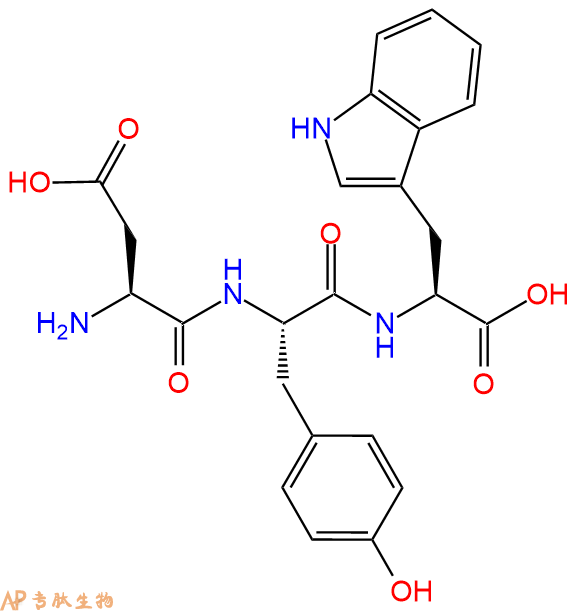 专肽生物产品三肽Asp-Tyr-Trp