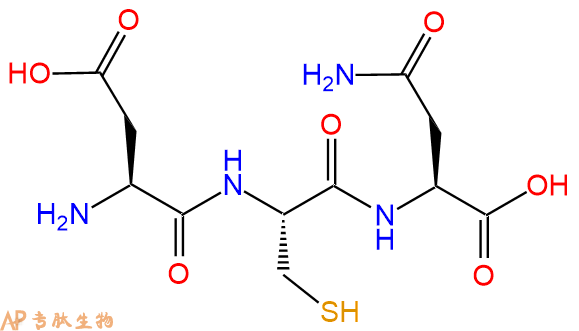 专肽生物产品三肽Asp-Cys-Asn