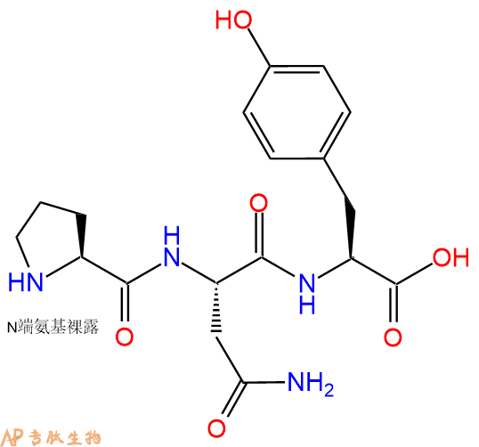 专肽生物产品三肽Pro-Asn-Tyr