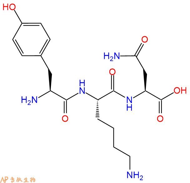 专肽生物产品三肽Tyr-Lys-Asn