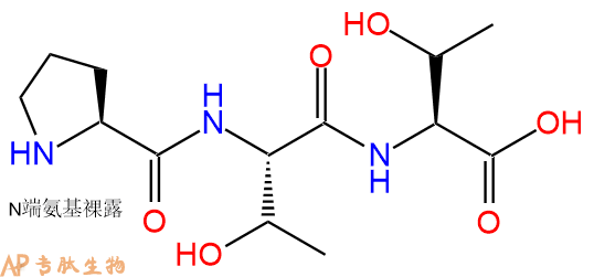 专肽生物产品三肽Pro-Thr-Thr