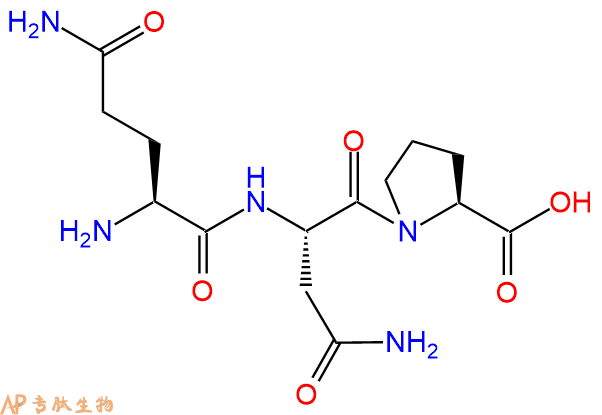 专肽生物产品三肽Gln-Asn-Pro