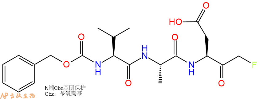专肽生物产品半胱氨酸蛋白酶、Caspase Inhibitor VI、Z-VAD-FMK、Z-VAD(OH)-FMK161401-82-7
