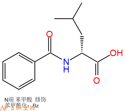 专肽生物产品N-苯甲酰亮氨酸17966-67-5