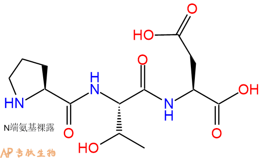 专肽生物产品三肽Pro-Thr-Asp