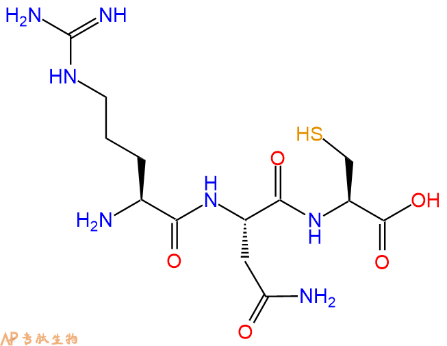 专肽生物产品三肽Arg-Asn-Cys