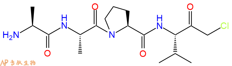 专肽生物产品四肽Ala-Ala-Pro-Val-CMK90105-47-8