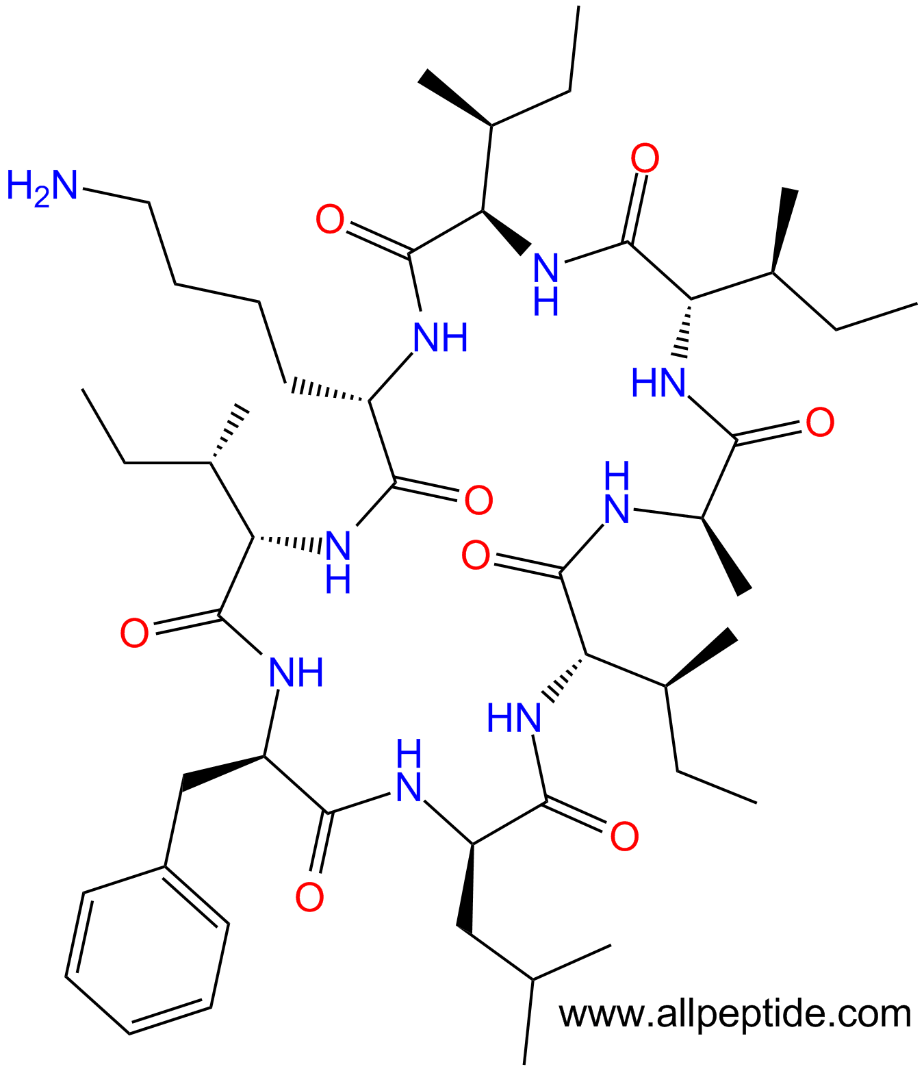 专肽生物产品Surugamide A：cyclo(I-DIle-KI-DPhe-DLeu-I-DAla)(main chain cyc1444002-12-3