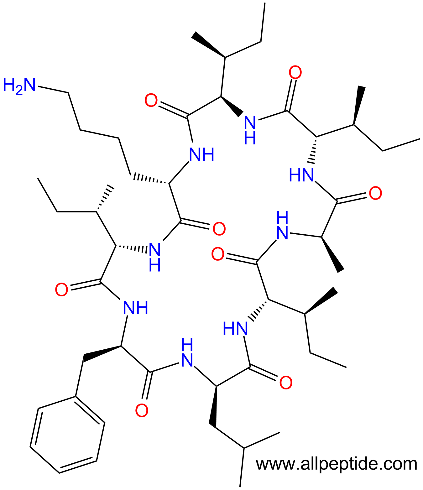 专肽生物产品八肽cyclo(I-DIle-KI-DPhe-DLeu-I-DAla)(main chain cyc1444002-12-3