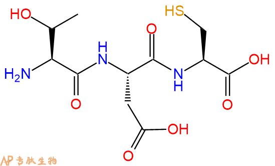 专肽生物产品三肽Thr-Asp-Cys