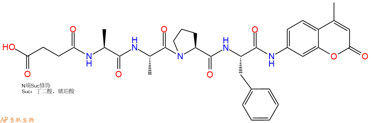 专肽生物产品肽基脯氨酰异构酶底物：Suc-AAPF-7-氨基-4-甲基香豆素88467-45-2