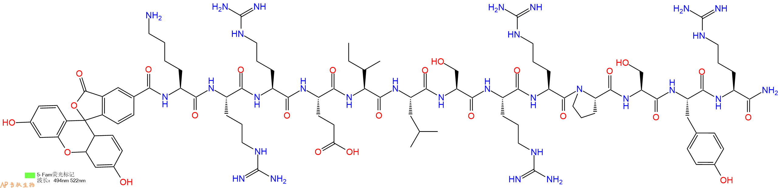 专肽生物产品荧光标记肽5FAM-KRREILSRRPSYR-NH2