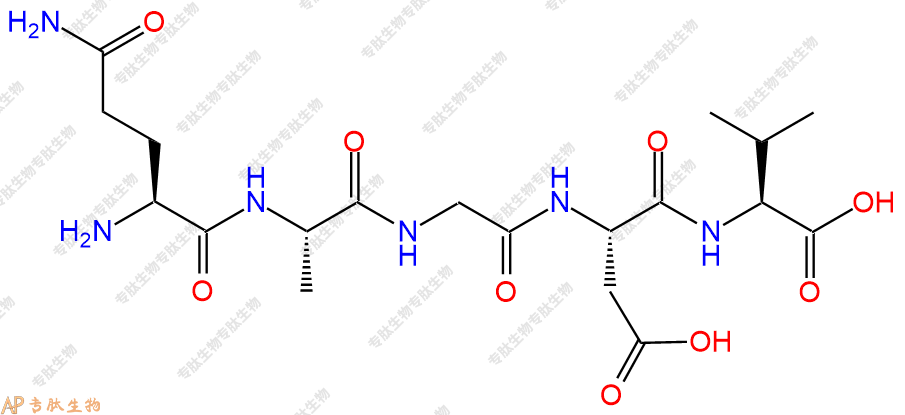 专肽生物产品五肽QAGDV80755-85-7