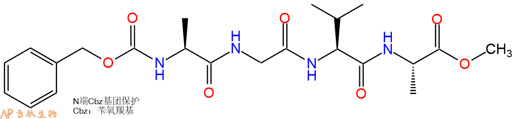 专肽生物产品四肽Cbz-Ala-Gly-Val-Ala-甲酯化17554-15-3