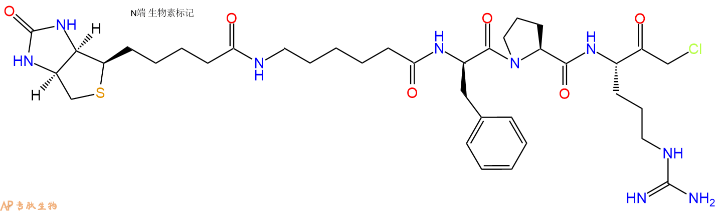 专肽生物产品CMK修饰肽：Biotin-LC-fPR-CMK131104-10-4