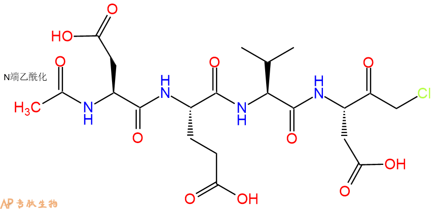 专肽生物产品CMK修饰肽：Ac-DEVD-CMK285570-60-7