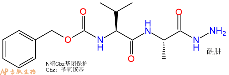 专肽生物产品二肽Cbz-Val-Ala-NH-NH275707-26-5
