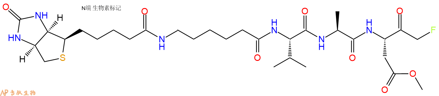 专肽生物产品半胱氨酸蛋白酶Caspase Inhibitor I1135688-15-1