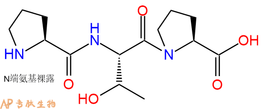 专肽生物产品三肽Pro-Thr-Pro
