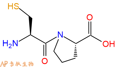 专肽生物产品二肽Cys-Pro