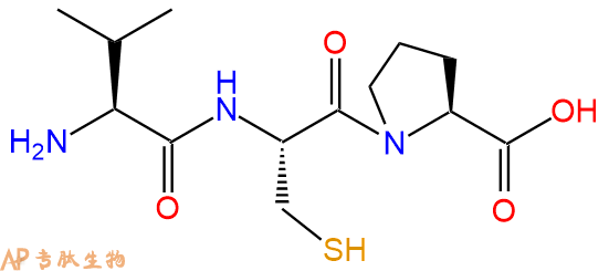 专肽生物产品三肽Val-Cys-Pro