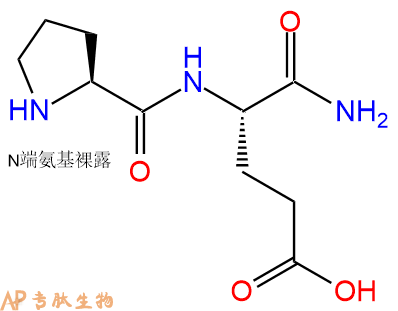 专肽生物产品二肽Pro-Glu-NH2
