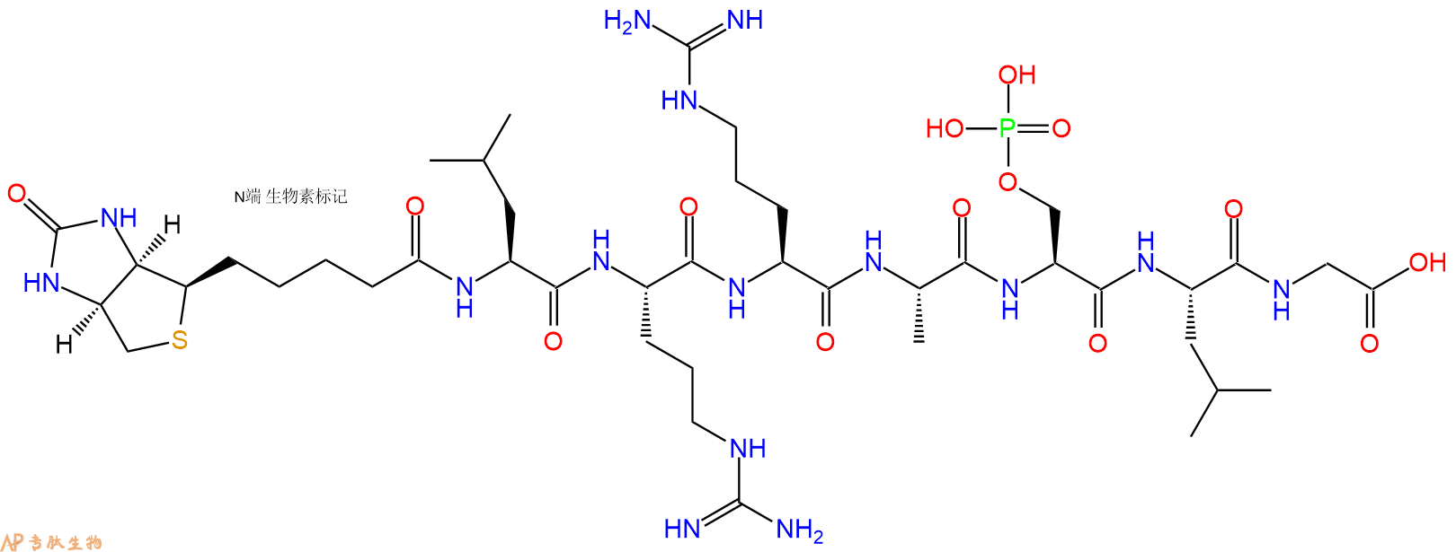 专肽生物产品七肽Biotin-LRRA-pSer-LG
