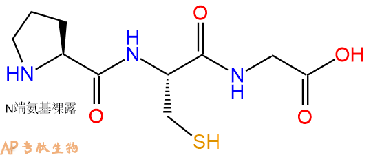 专肽生物产品三肽Pro-Cys-Gly
