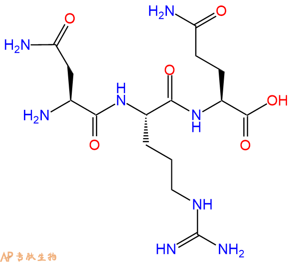 专肽生物产品三肽Asn-Arg-Gln