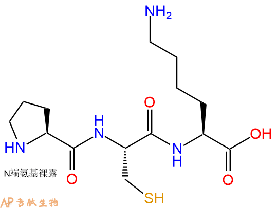 专肽生物产品三肽Pro-Cys-Lys