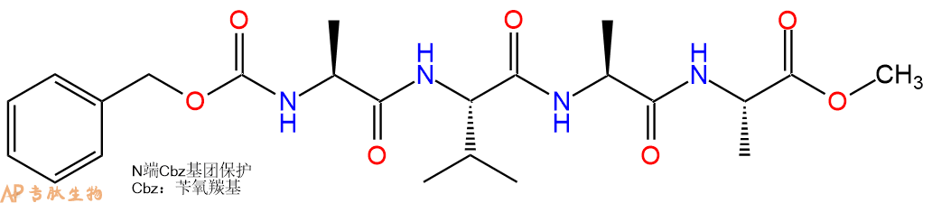专肽生物产品四肽Cbz-Ala-Val-Ala-Ala-甲酯化62104-71-6