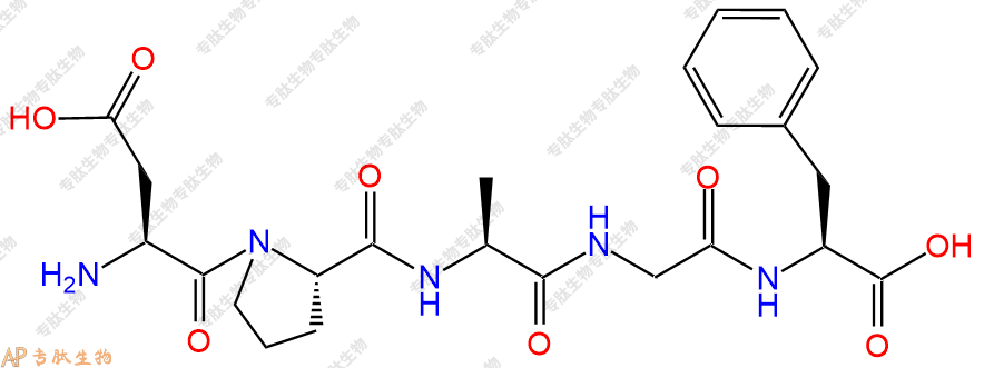 专肽生物产品五肽Asp-Pro-Ala-Gly-Phe823807-57-4