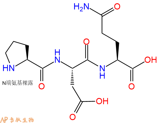 专肽生物产品三肽Pro-Asp-Gln