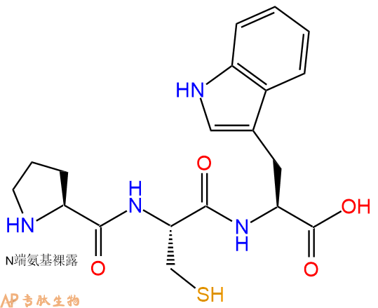 专肽生物产品三肽Pro-Cys-Trp