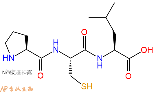 专肽生物产品三肽Pro-Cys-Leu