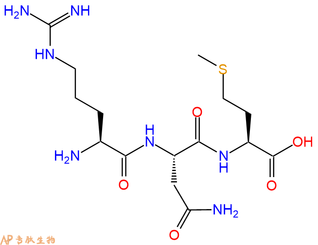 专肽生物产品三肽Arg-Asn-Met