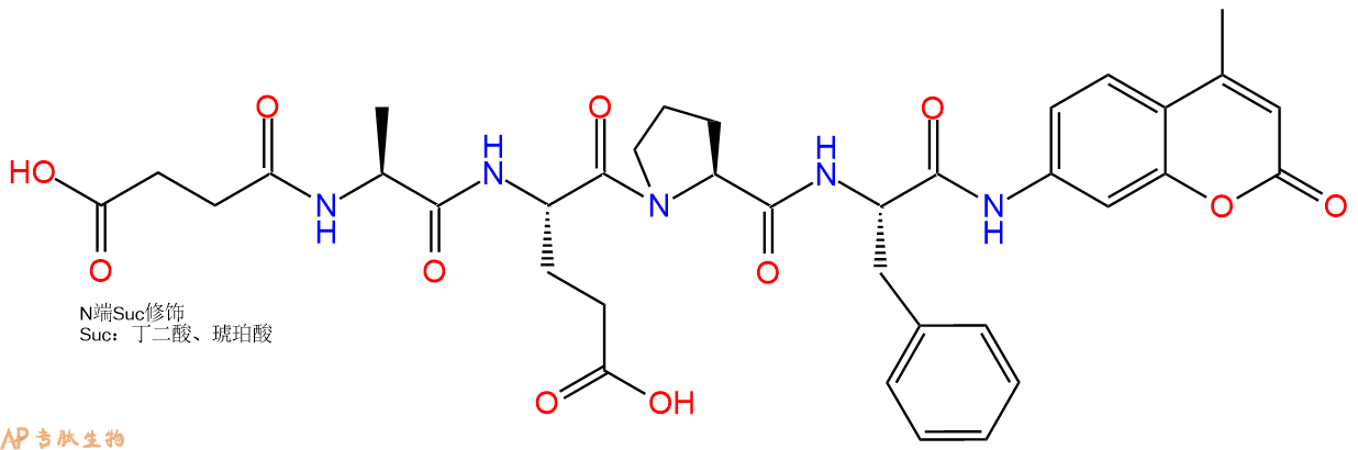 专肽生物产品肽基脯氨酰异构酶底物：Suc-AEPF-7-氨基-4-甲基香豆素142997-30-6