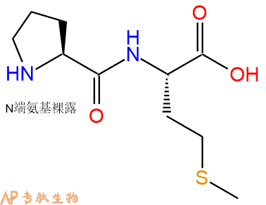 专肽生物产品二肽Pro-Met52899-08-8