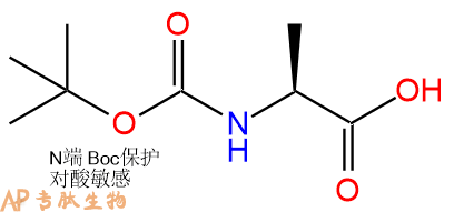 专肽生物产品Boc-Ala15761-38-3/952060-13-8