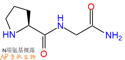 专肽生物产品二肽Pro-Gly-NH251952-37-5